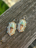 Opalized Wood