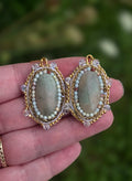 Rare Colorway Coral Fossils