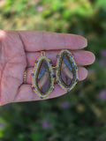 Petrified Wood and Sweetgrass Earrings