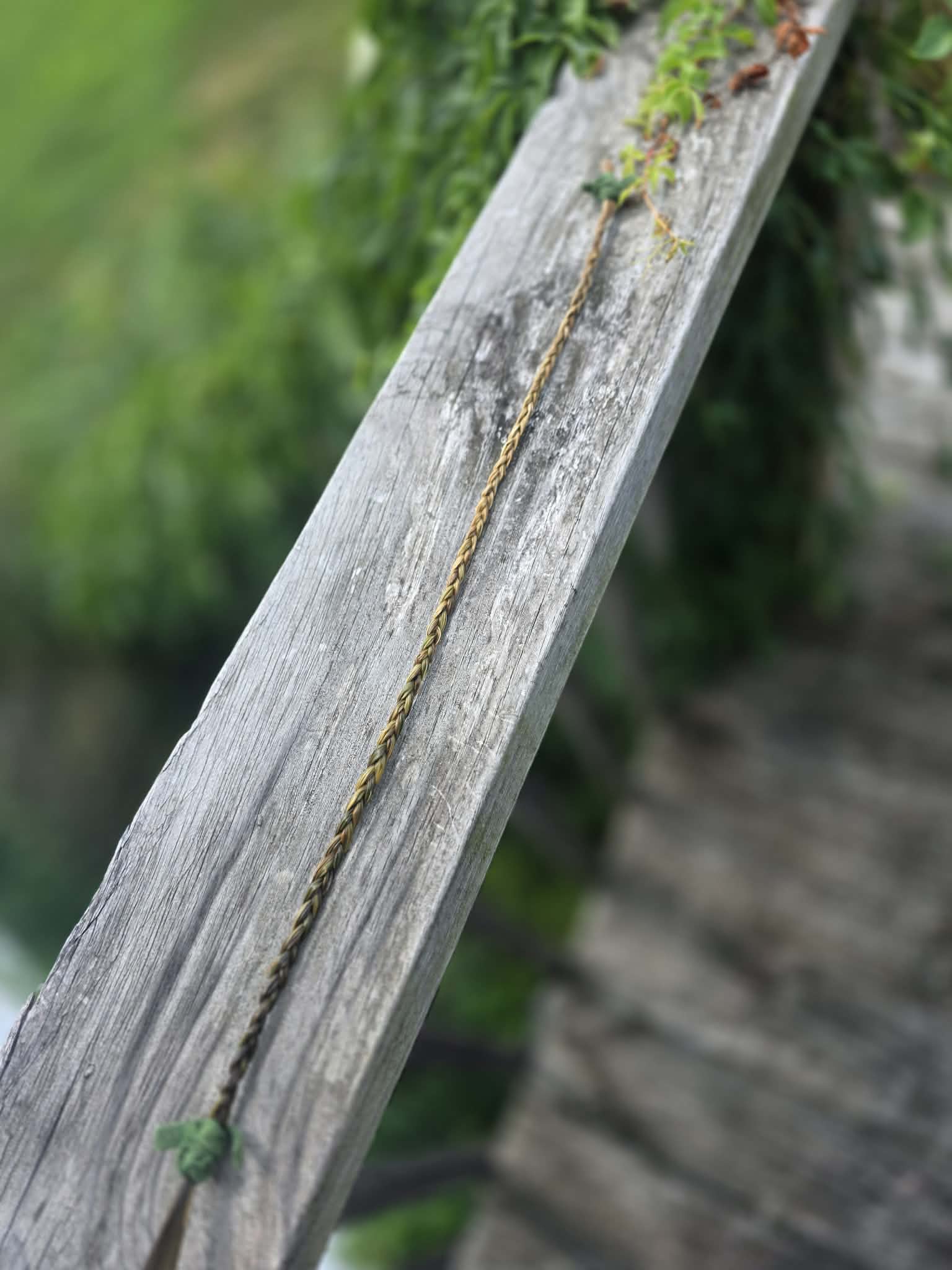 Sweetgrass Braid