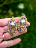 Petrified Wood with Druzzy